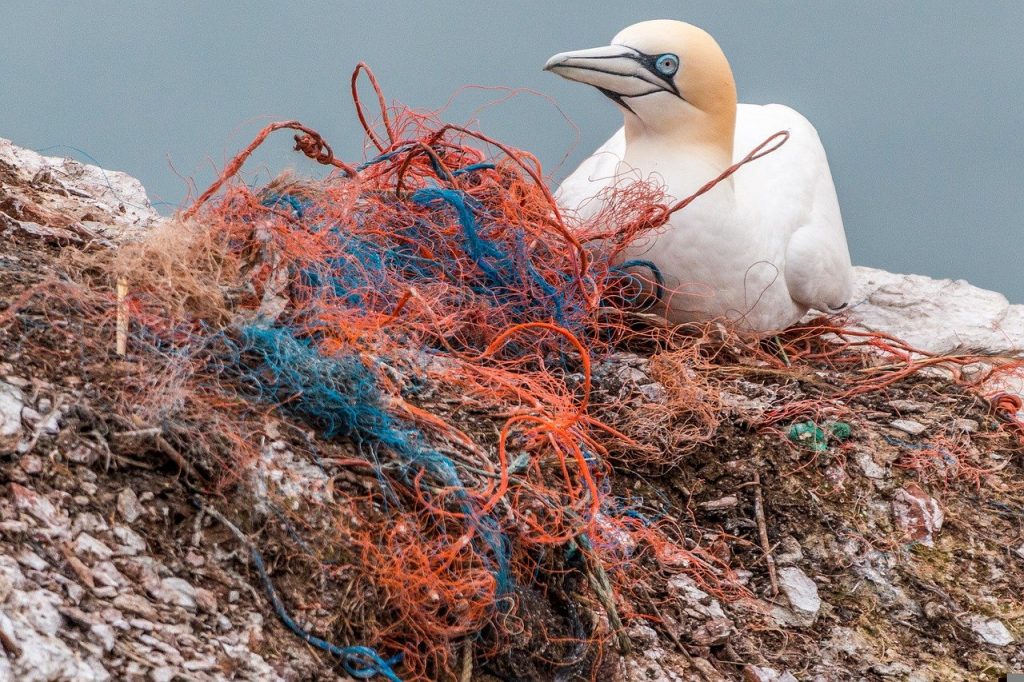 plastic in the ocean