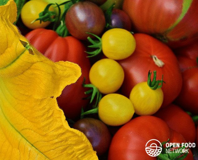 tomatoes and courgette flower with logo