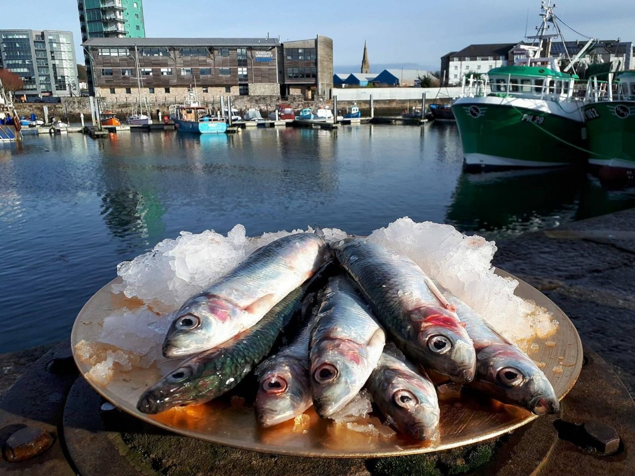 Sole of Discretion • Open Food Network