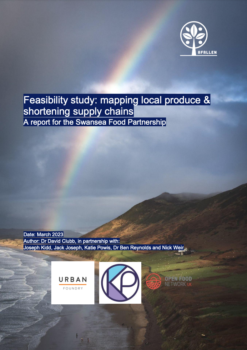 Swansea mapping project report cover