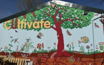 A trip to Cultivate, Powys as part of the Procurement For Good project
