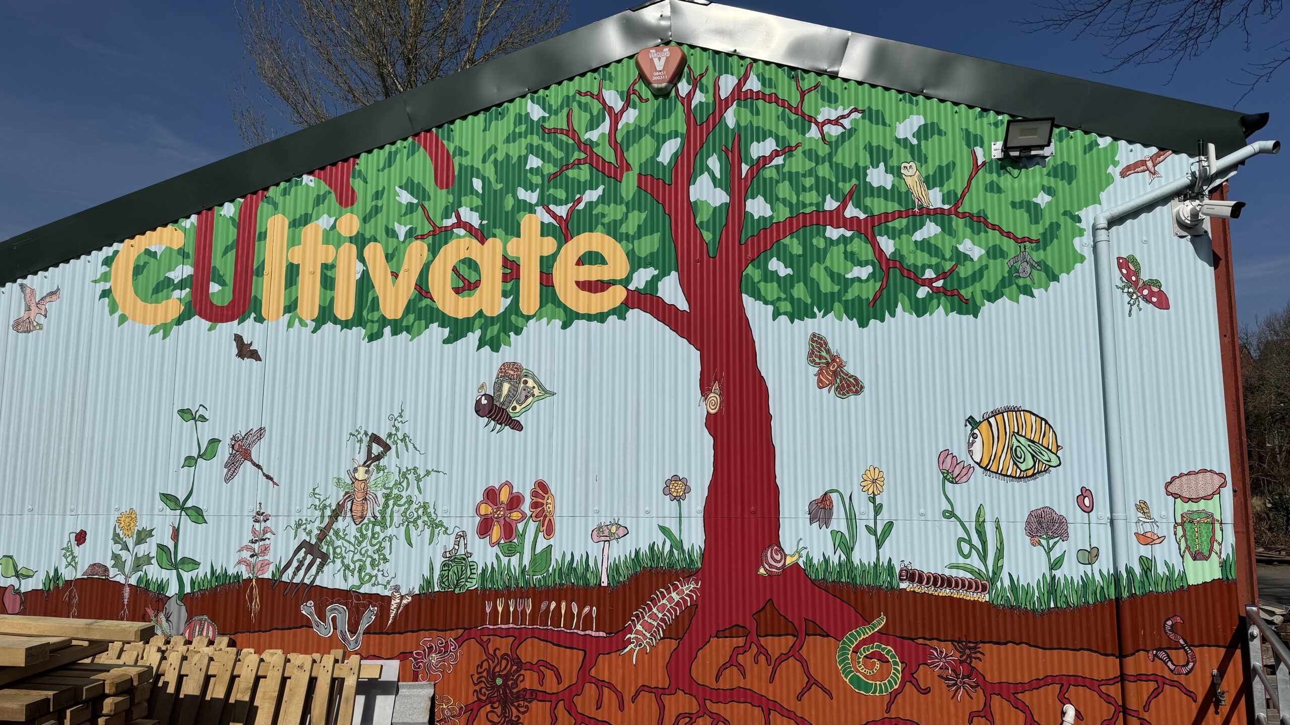 Cultivate mural A mural showing a tree, soil life, insects and plants at Cultivate, a community food hub in mid Wales.