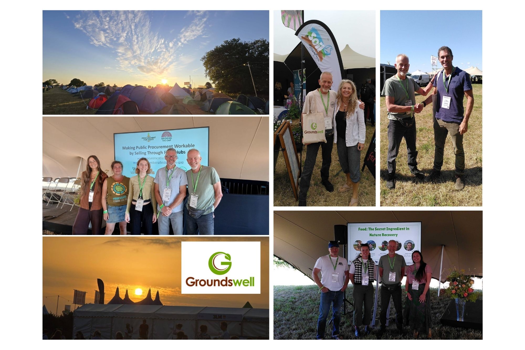 A mural showing a tree, soil life, insects and plants at Cultivate, a community food hub in mid Wales.