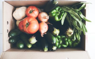 From Just in Case towards local food resilience