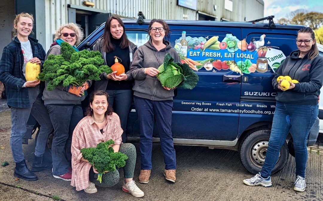 Celebrating a decade of Tamar Valley Food Hubs and The Tree on the Open Food Network UK
