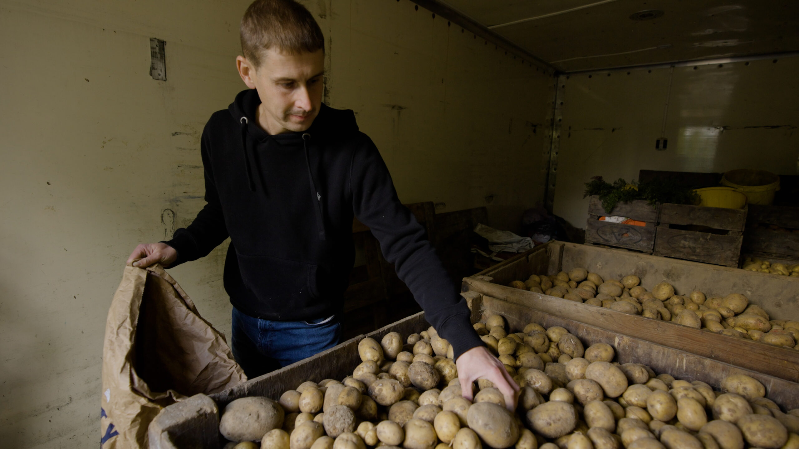 John Edwards picking potatoes from his potato store