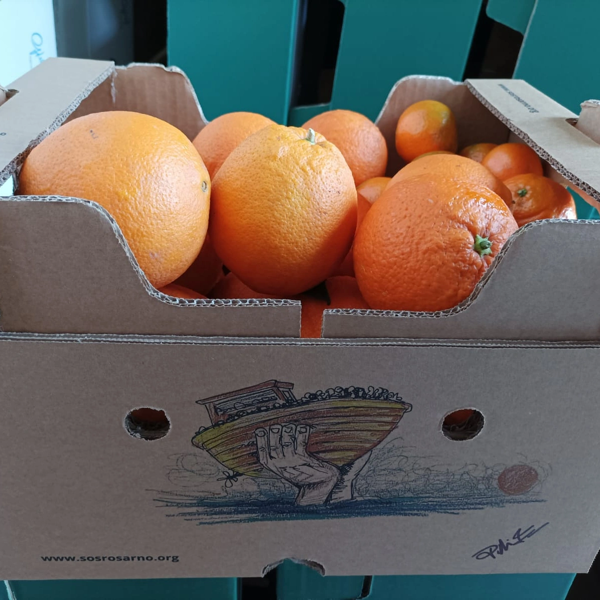 A box of Oranges for Justice oranges
